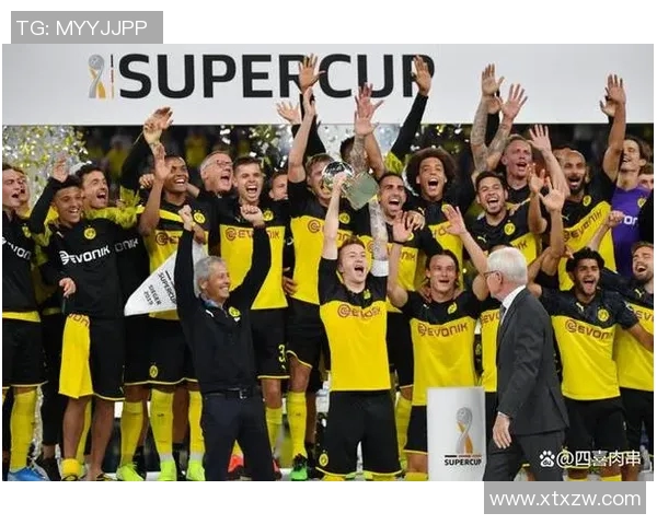 AC米兰对阵多特蒙德精彩视频直播全程回顾与赛后分析